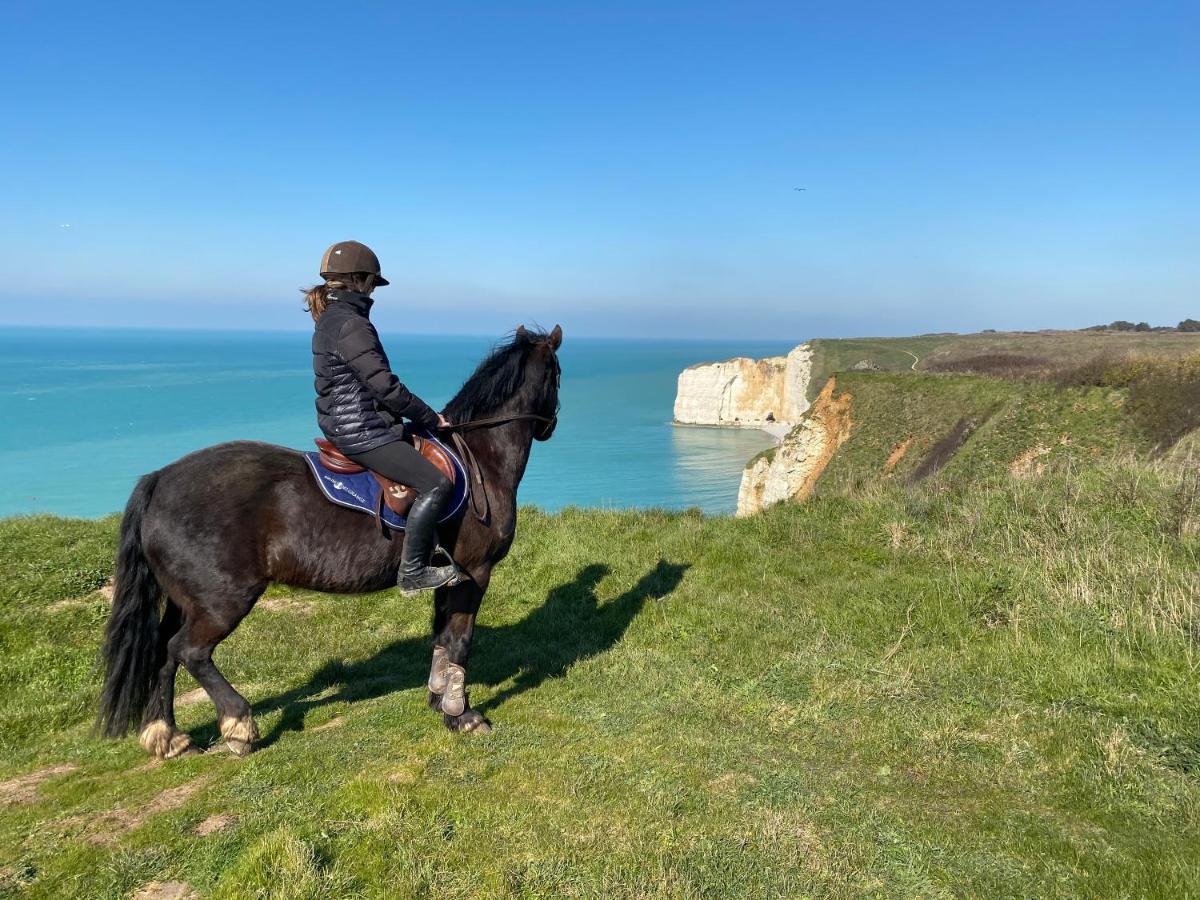 Bed and Breakfast Domaine Equestre Etretat Le Tilleul Exterior foto